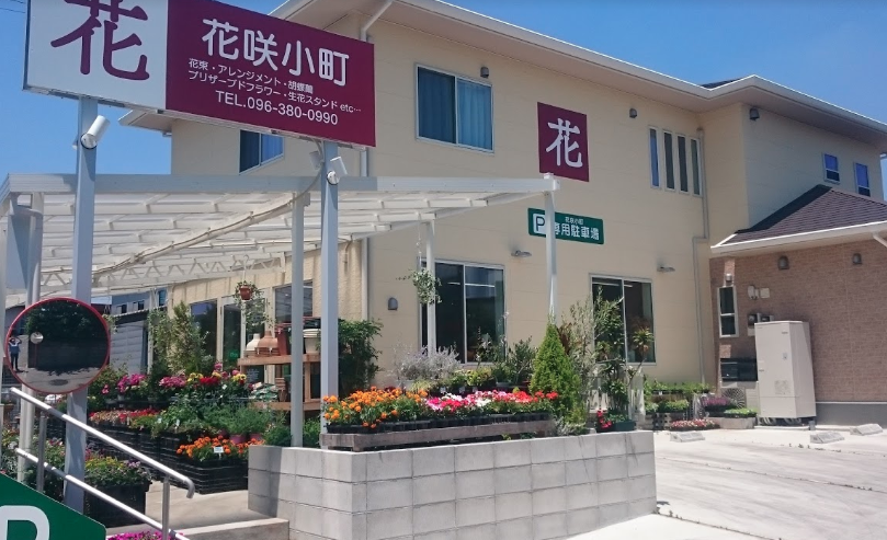 花咲小町